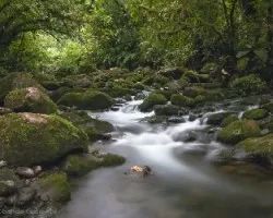 Entre piedras