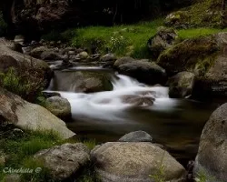 Rio savegre