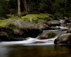 Rio savegre