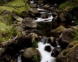 Rio savegre