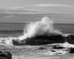 Mar en B/N