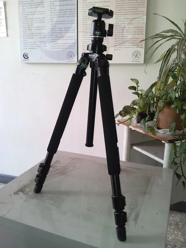 Foto