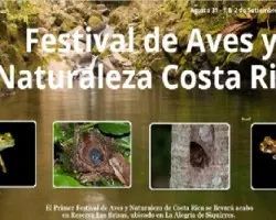 Festival de aves