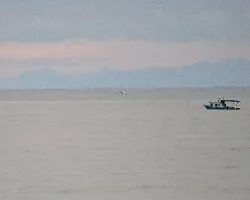 Lancha pesquera