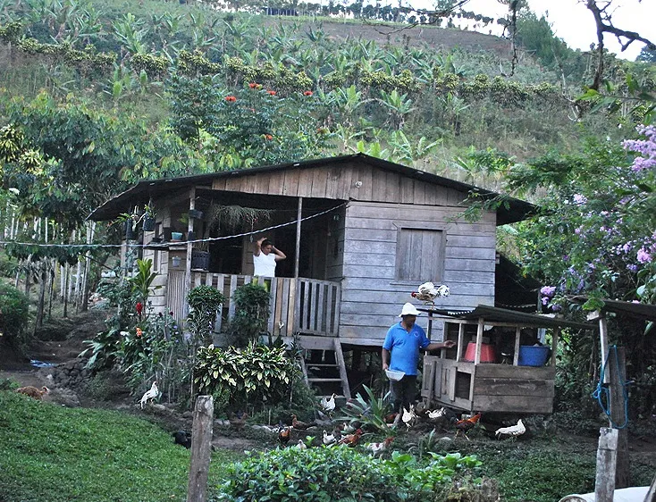 Foto