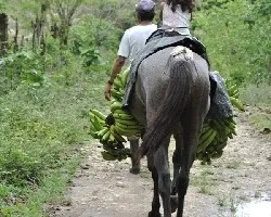 De camino se arreglan las cargas