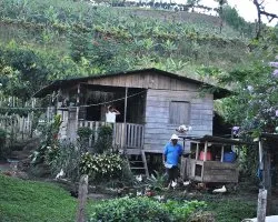 Estampa criolla