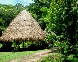 Laguna los chocuacos