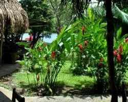 Laguna los chocuacos