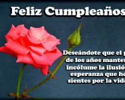 Rosas para mitzi