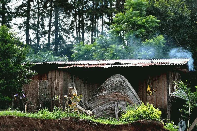 Foto