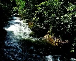 Río cotón