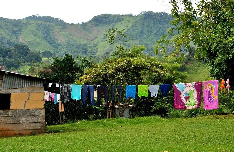Foto