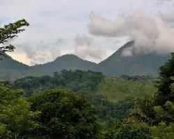 Cerros