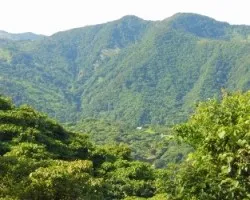 Vista al bosque nuboso de monteverde