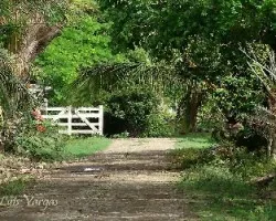 Camino rural