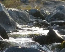Cascada al amanecer