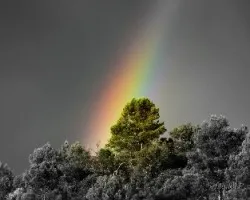 Arco Iris
