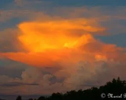Atardecer de campo
