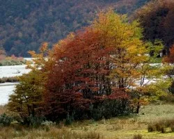 Otoño 