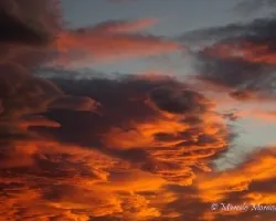 Recibimiento de los antiguos