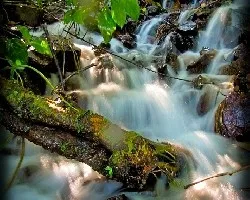cascada      