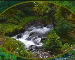 Un río encantado I