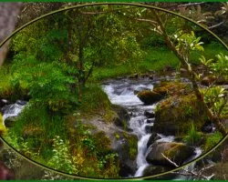 Un río encantado II