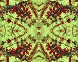Manipulación II