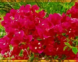 Primavera Fractal