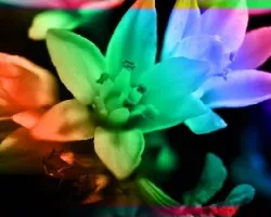 Variando colores I