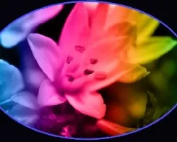 Variando colores III