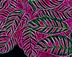 Hojas en fractal