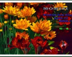 Flores para Momiji