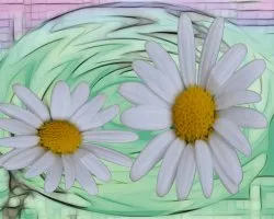 Margaritas diferentes i