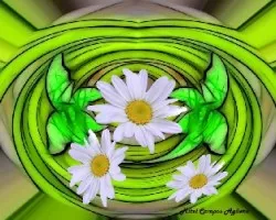 Experimento i