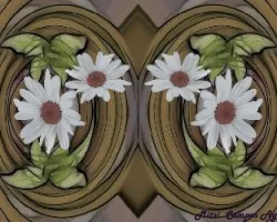 Experimento ii
