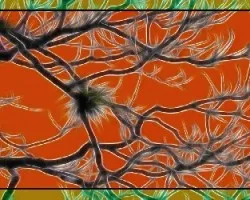 Ramas en fractal i