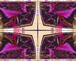Experimento I