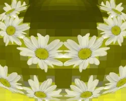 Margaritas I