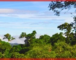 Paisaje i