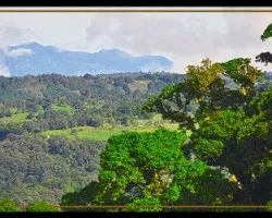 Paisaje ii