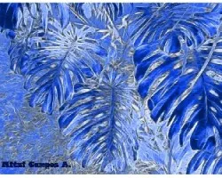 Fractal de mano de tigre i