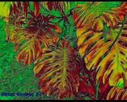Fractal de mano de tigre ii