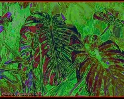 Fractal de mano de tigre iii