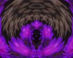 Detalle floral