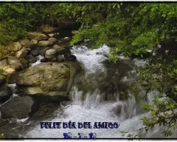 Tarjeta para los amigos