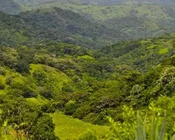 Paisaje ii
