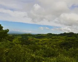 Paisaje iii