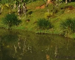 A orillas de un lago